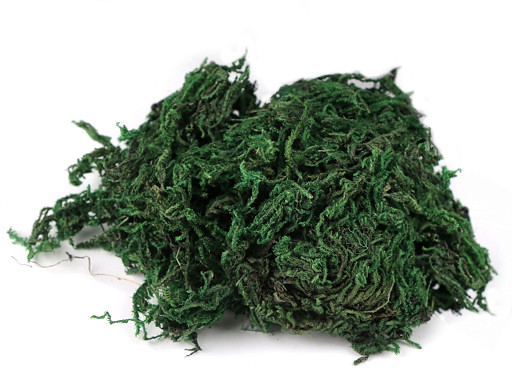 Decorative Natural Moss 640 g