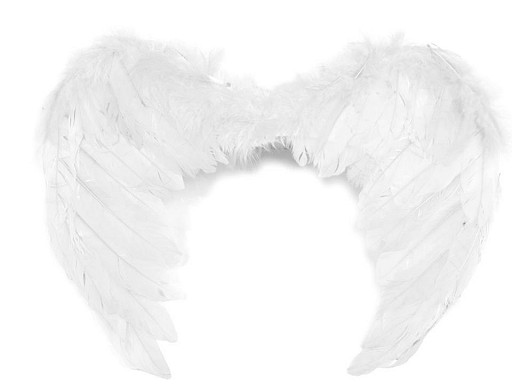 Angel Wings 35x45 cm