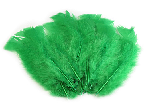 Piume d’oca colorate, lunghezza: 11-17 cm