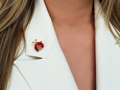 Bro� beru�ka mini