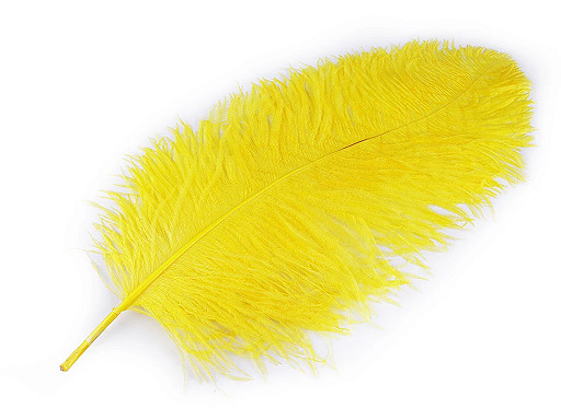 Pene decorative struț, lungime 60 cm