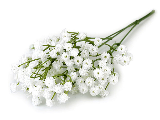 Gypsophila artificiale