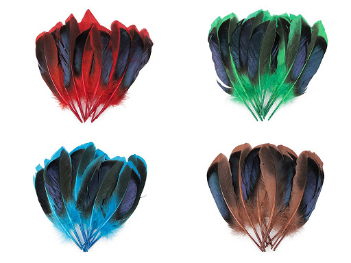 Plumes de canard, longueur 13-15 cm