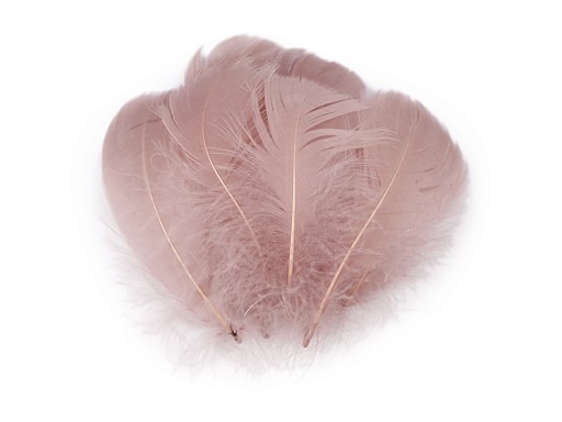 Ostrich Feathers length 6-11 cm