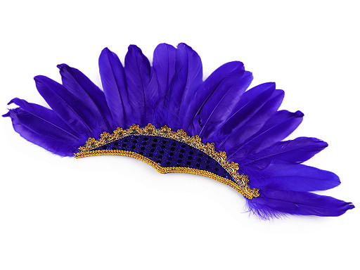 Carnival headband with feathers