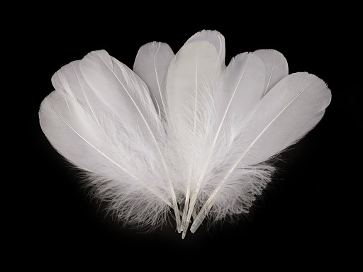 Plumas de ganso, largo 1418 cm