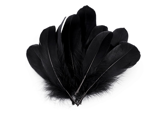 Goose feathers length 14-18 cm Goose feathers length 14-18 cm