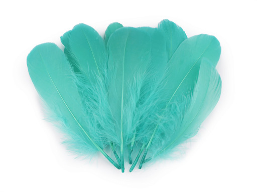 Goose feathers length 14-18 cm