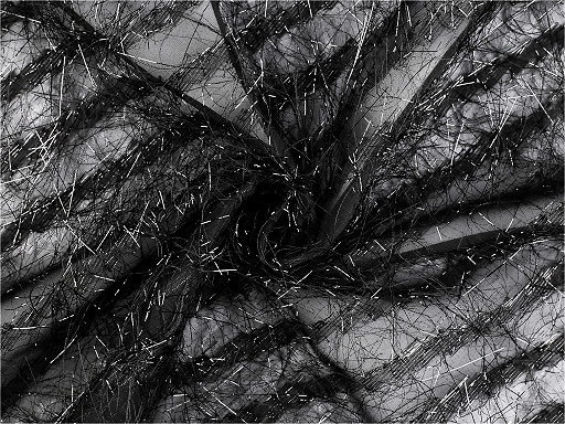 Chiffon con filo decorativo, effetto metallico