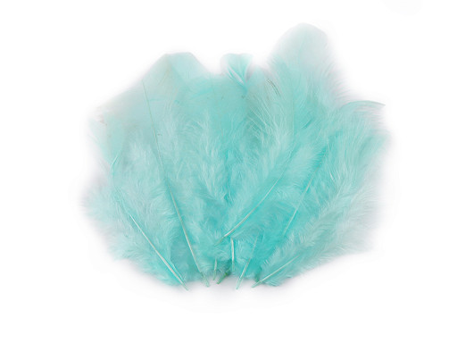 Hen feathers length 8-9 cm Hen feathers length 8-9 cm