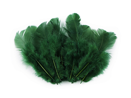 Plumes de coq, longueur 8-9 cm