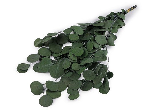 Stabilizovaný eukalyptus zväzok