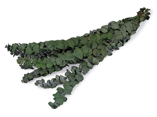 Stabilizovaný eukalyptus svazek