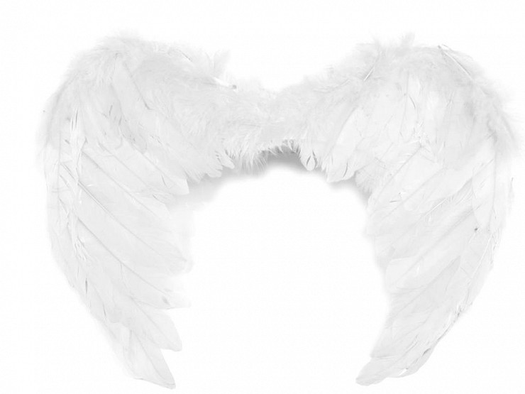 Anjelské krídla 35x45 cm 2. akosť