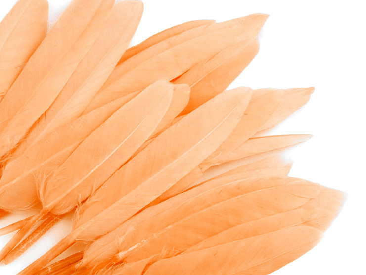 Plume de canard décorative, longueur 9-14 cm