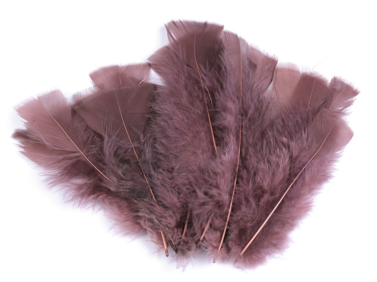 Coloured Turkey Feathers length 11-17 cm