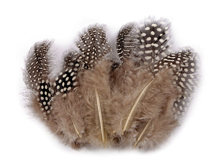 Decorative Hen Feathers length 5-13 cm