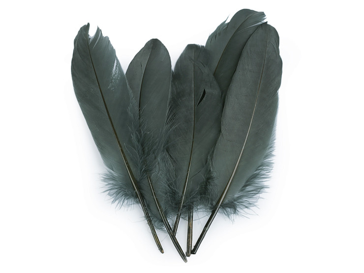 Piume d'oca decorative, lunghezza: 12 – 21 cm