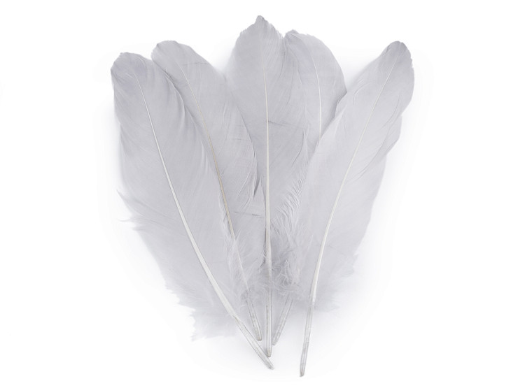 Decorative Goose Feathers length 12-21 cm