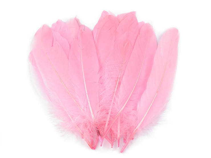 Decorative Goose Feathers length 12-21 cm