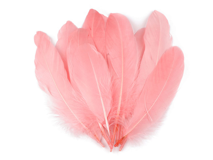 Plumes d’oie décoratives, longueur 12-21 cm