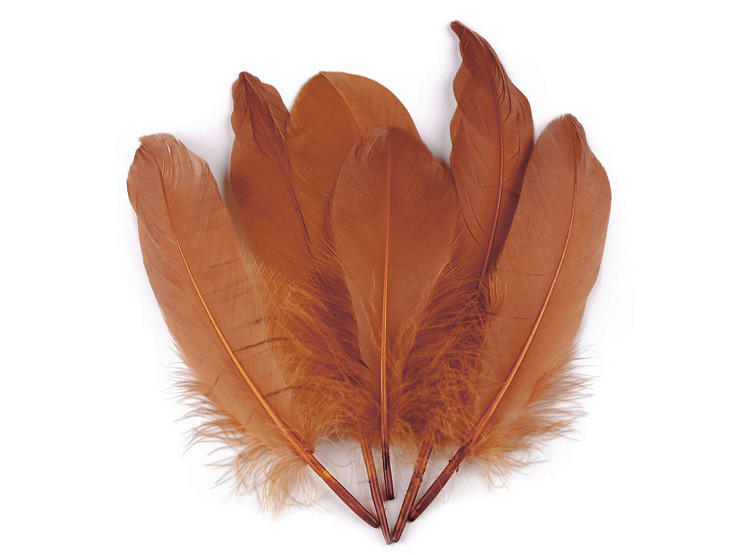 Plumes d’oie décoratives, longueur 12-21 cm