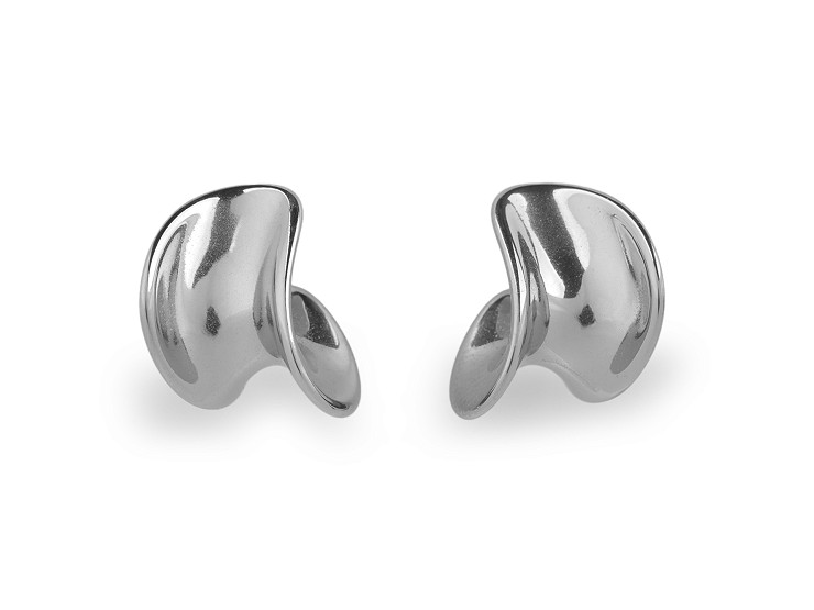 Stainless steel earrings