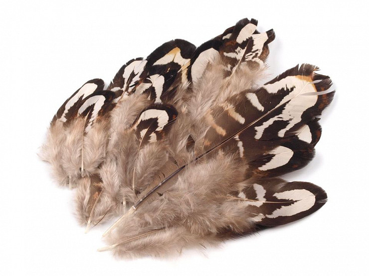 Ornamental Pheasant Feather length 4-10 cm