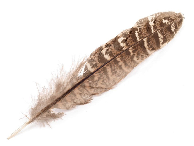 10 Best Cowboy Hat Feathers 2026. My Experience & Review