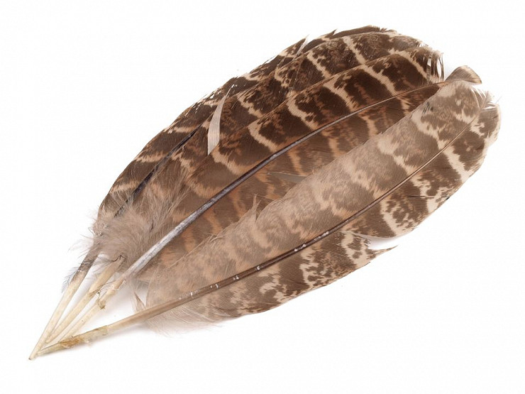 Ornamental Pheasant Feather length 10-18 cm