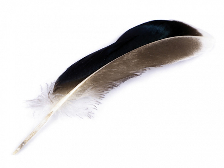 Duck Feathers length 10-14 cm