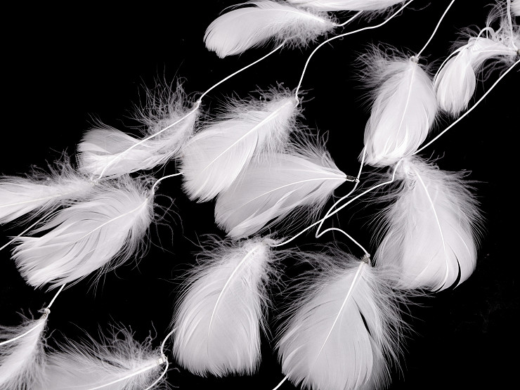 Feathers on a string / garland