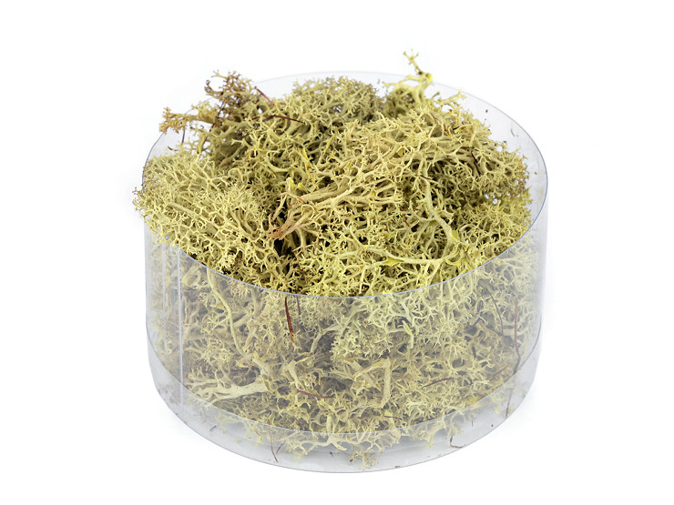 Preserved / Stabilized Natural Moss 20 g in a box