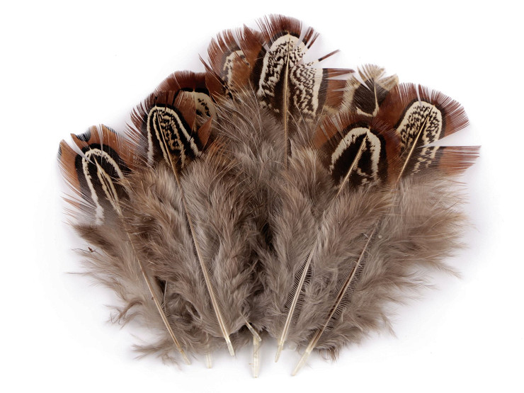 Plumas de faisán, largo 5-7 cm