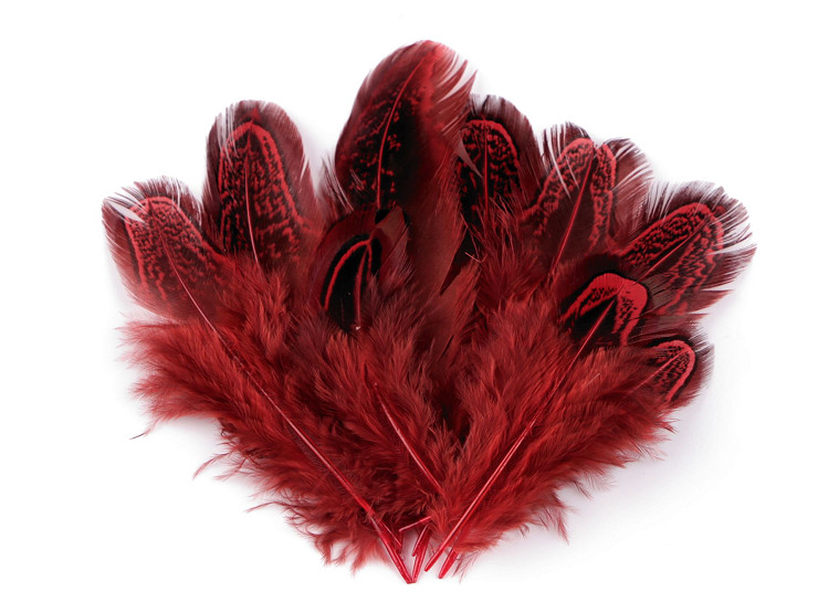 Pheasant Feathers length 5-7 cm