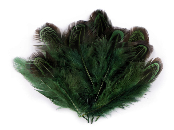 Pheasant Feathers length 5-7 cm