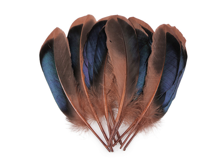 Duck Feathers length 13-15 cm