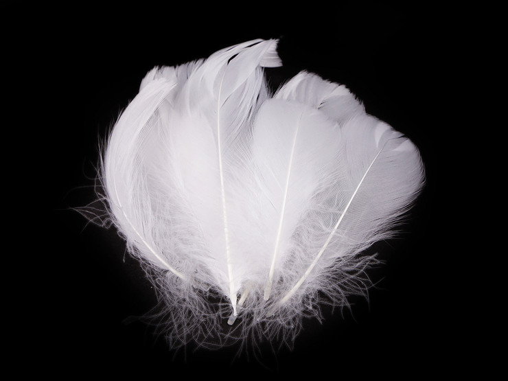 Ostrich Feathers length 6-11 cm