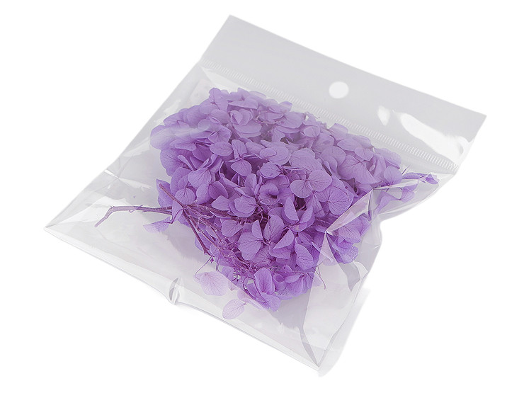 Ortensie essiccate/stabilizzate, per composizioni floreali
