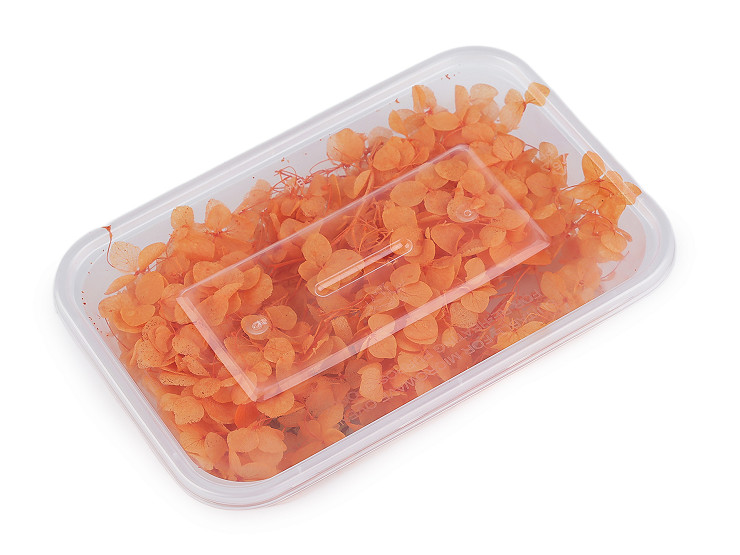 Ortensie essiccate/stabilizzate, per composizioni floreali