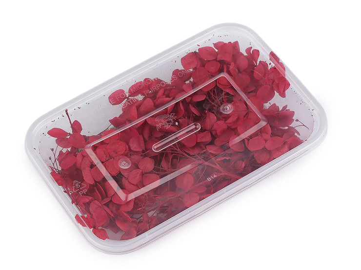 Ortensie essiccate/stabilizzate, per composizioni floreali