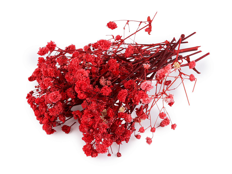 Gipsofila essiccata/conservata, per composizioni floreali