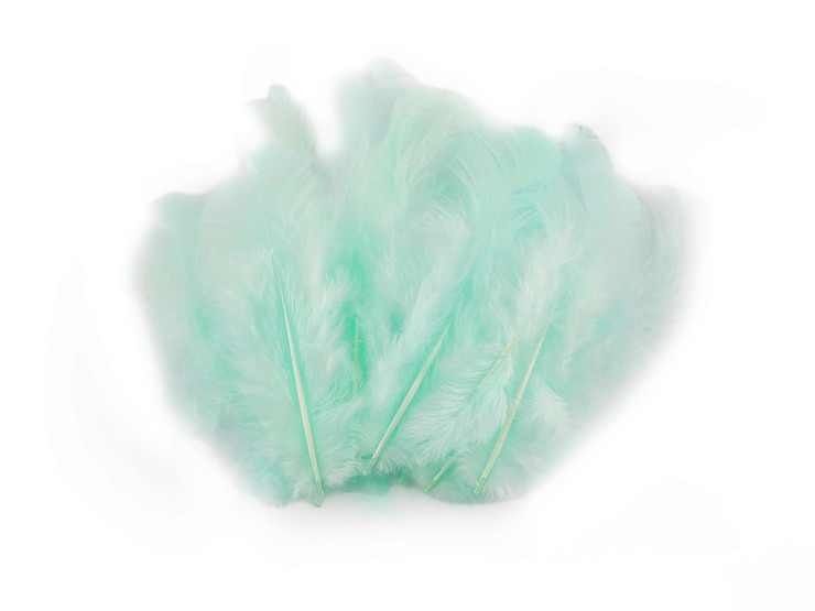 Plumes de coq, longueur 8-9 cm