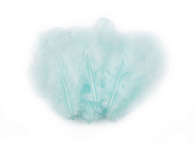 Hen feathers length 8-9 cm