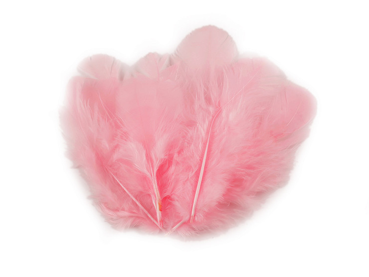 Hen feathers length 8-9 cm