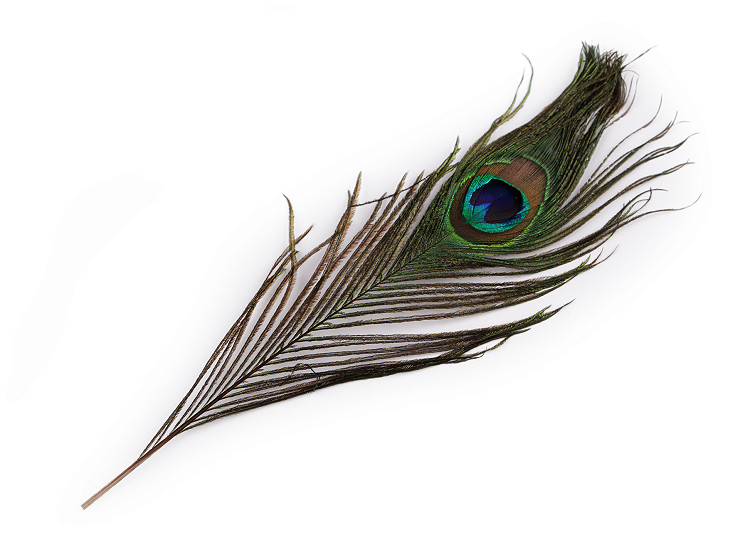 Plumas de pavo real, largo 25-30 cm