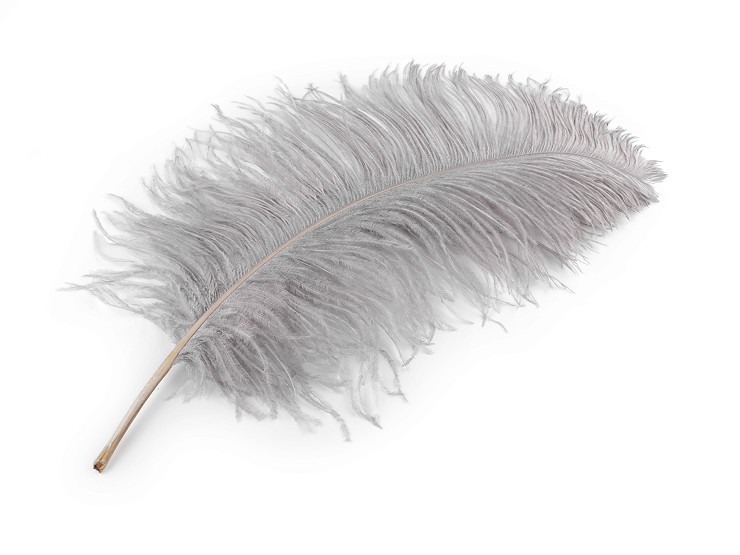 Plumes d’autruche, longueur 50-55 cm