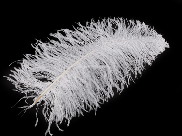 Plumes d’autruche, longueur 50-55 cm