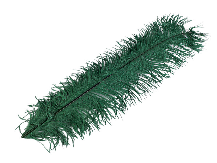 Pštrosie perie dĺžka 50-55 cm