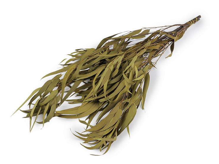 Stabilizovaný eukalyptus zväzok